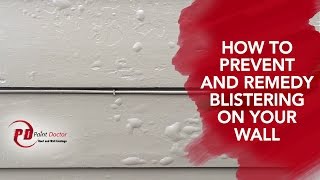 How to Prevent and Remedy Blistering on Your Wall  PaintDoctor Ep12 [upl. by Dagall658]