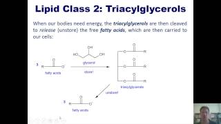 Chapter 24 – Organic amp Biological Molecules Part 7 of 9 [upl. by Yesoj967]