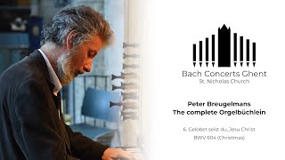 BWV 604  Gelobet seist du Jesu Christ  Peter Breugelmans [upl. by Ilise]