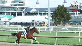 Kentucky Derby 149  Análisis EN VIVO [upl. by Arimak]