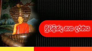 මුචලින්ද නාග දරුණු Muchalinda naga is fierce [upl. by Marlea]