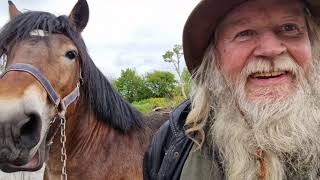 Milltown Horse Fair Kerry 28 April 2024 [upl. by Buote]