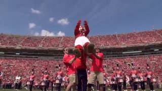 2016 Clemson University Tiger Band  The Beauty of Life [upl. by Asehr]