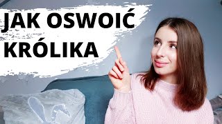 JAK OSWOIĆ KRÓLIKA [upl. by Anoj]