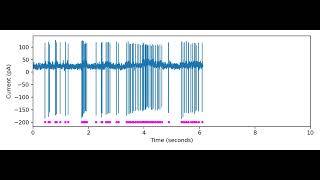 Cellattached recording of a Lhx6 interneuron [upl. by Minier]