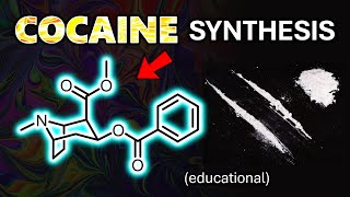 Epic First Cocaine Synthesis in 25 Steps Educational [upl. by Farro]