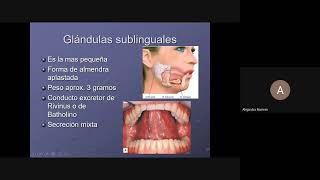 curso de Radiologia dental [upl. by Yecats]