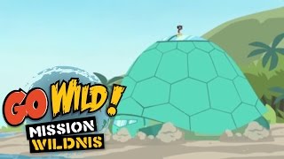 Go Wild Mission Wildnis  Die Tortuga lernt schwimmen Trailer  Folge 18 [upl. by Alacim]