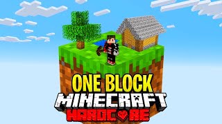 I Survived 100 Days on ONE BLOCK in Hardcore Minecraft [upl. by Teage22]