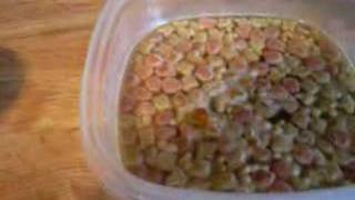 How To Make HomeMade Baby Bird Food [upl. by Adraynek]