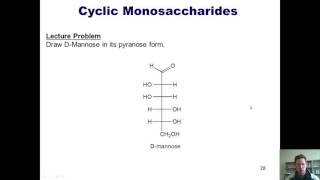 Chapter 22 – Carbohydrate Chemistry Part 6 of 7 [upl. by Mich279]