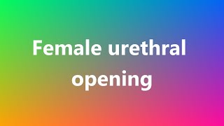 Female urethral opening  Medical Definition and Pronunciation [upl. by Laubin]