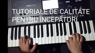 TUTORIAL COACE DOAMNE PRUNELE Petrică mâțu Stoian🎹 [upl. by Ymer198]