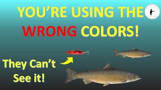 Selecting the Right Colors for Salmon Fishing [upl. by Savanna793]