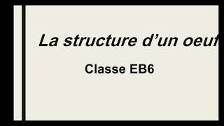 la structure dun oeuf de la poule classe EB5 [upl. by Annayr]