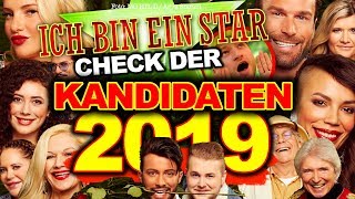 DSCHUNGELCAMP 2019 ALLE Kandidaten im CHECK  Gisele Yotta Evelyn amp Co [upl. by Feodore]