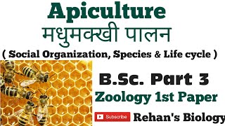 Apiculture Bee Keeping मधुमक्खी पालन Apis indica Rehans Biology Zoology 1st BSc Part 3 [upl. by Nathanoj811]