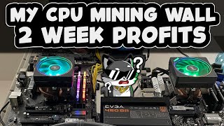 My CPU Mining Profit Update [upl. by Eiliab]