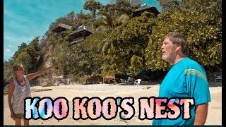 KOOKOOS NEST [upl. by Volny]