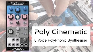 Poly Cinematic [upl. by Lalo]