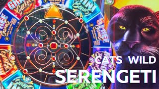 I LOVE this game Even 8 spins can win a profit 🫶🫶🤑 Wild Cats Serengeti for a win [upl. by Cos328]