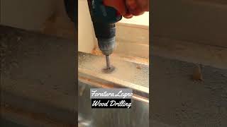 Foratura Legno Wood Drilling faidate tooltips diy [upl. by Wertheimer]