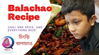 চিংড়ি বালাচাও ।। Dried Shrimp Balachao।।চিংড়ি শুঁটকি বালাচাও।।Balachao recipe   Nilu vlogger [upl. by Goerke630]