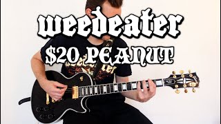 Weedeater  20 Peanut Guitar Cover [upl. by Yattirb]