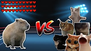 Giant Capybara vs All Cats Meme battle [upl. by Biancha]