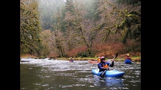 Drift Creek Alsea River Watershed [upl. by Haslett337]