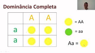 Aula Complementar Dominância Completa Incompleta e Codominância  Genética [upl. by Sesilu]