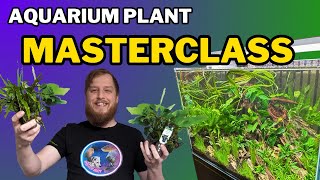 Be successful start your aquarium plants right All the things you should do to prep your plants [upl. by Fanning880]