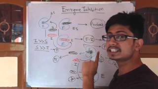 Competitive inhibition and noncompetitive inhibition [upl. by Bilbe]