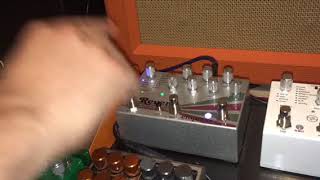 Empress EchosystemReverb Looper [upl. by Nairahcaz]