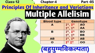 Multiple Alleles  Class 12 Genetics  Principle of Inheritance and Variation [upl. by Yecaj546]