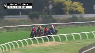 Flemington Jump Outs 16 August 2024 Jump Out 5 [upl. by Raffaello647]