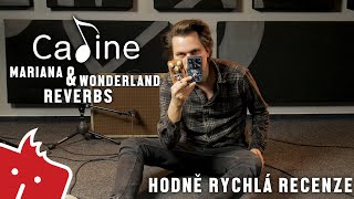 HRR Caline Mariana amp Wonderland Reverbs [upl. by Ednil]