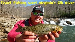 Trout Fishing West Virginias Elk River [upl. by Rodi]