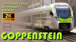 AUTOVERLAD GOPPENSTEIN BLS QHD2K [upl. by Bertine265]