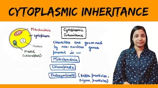 Cytoplasmic inheritance  Maternal Inheritance  Maternal Effect [upl. by Ellehcan]