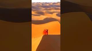 sahara desert में आपका स्वागत है। 😱😲 shorts desert facts viral [upl. by Syhr105]