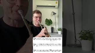 Umbrella  Rihanna  arr  YBBB trumpet version with score in C [upl. by Clareta]