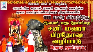 🔴LIVE 1008 சகஸ்ர லிங்கத்திற்கு சனி பிரதோஷ வழிபாடு  அருள்மிகு வைத்திய ஞான சகஸ்ரலிங்கேஷ்வரர் கோவில் [upl. by Ledba]