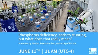 Phosphorus deficiency leads to stunting but what does that really mean [upl. by Ashlen]