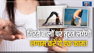 Yoga for Hair Fall गिरते बालों पर तुरंत लगेगी लगाम जब अपना लेंगे ये आसान योगिक अभ्यास Yoga Tips [upl. by Stallworth]