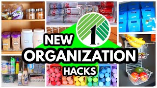 35 DOLLAR TREE ORGANIZATION IDEAS to Make Your Home More Organized must see EASY IDEAS [upl. by Stillman]