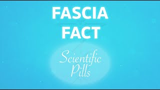 FASCIA FACT 2️⃣5️⃣ [upl. by Aicatsanna]