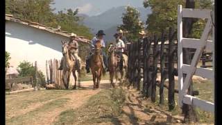 Capítulo 11 quotOrgullo Guajiroquot Serie Documental quotA Galopar Jinetes y Caballosquot [upl. by Linzy]