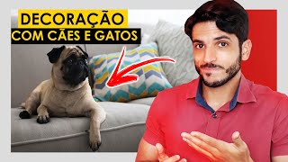 DECORAÇÃO PARA QUEM TEM CACHORROS E GATOS EM CASA OU APARTAMENTO [upl. by Thamora]