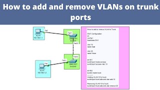 How to add and remove VLANs on trunk ports  CCNA  Networkforyou [upl. by Lordan]